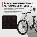 Electric Bicycle REVO Avenue 26″ – 250W Motor – Removable 36V 8.4Ah Battery – Up to 70 km Range – Disc Brakes