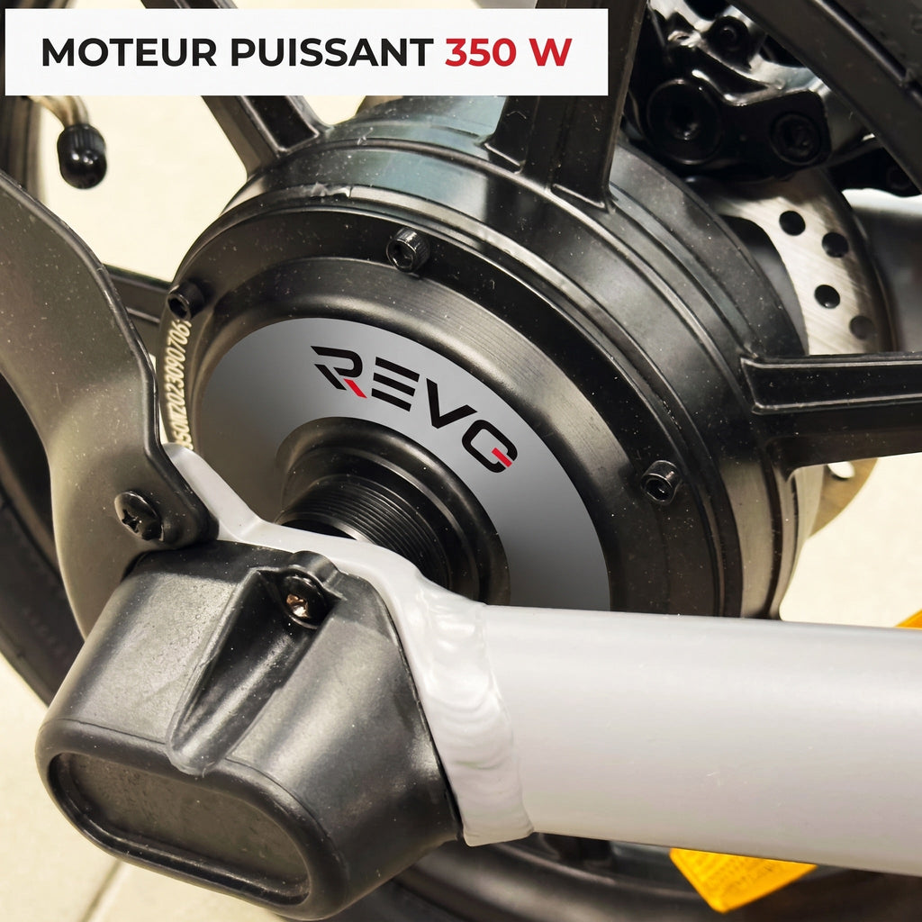 Draisienne électrique REVO Glide 14 – 350 W – Autonomie jusqu'à 15 km – Roues 14″ – Batterie amovible 36 V 5,2 Ah